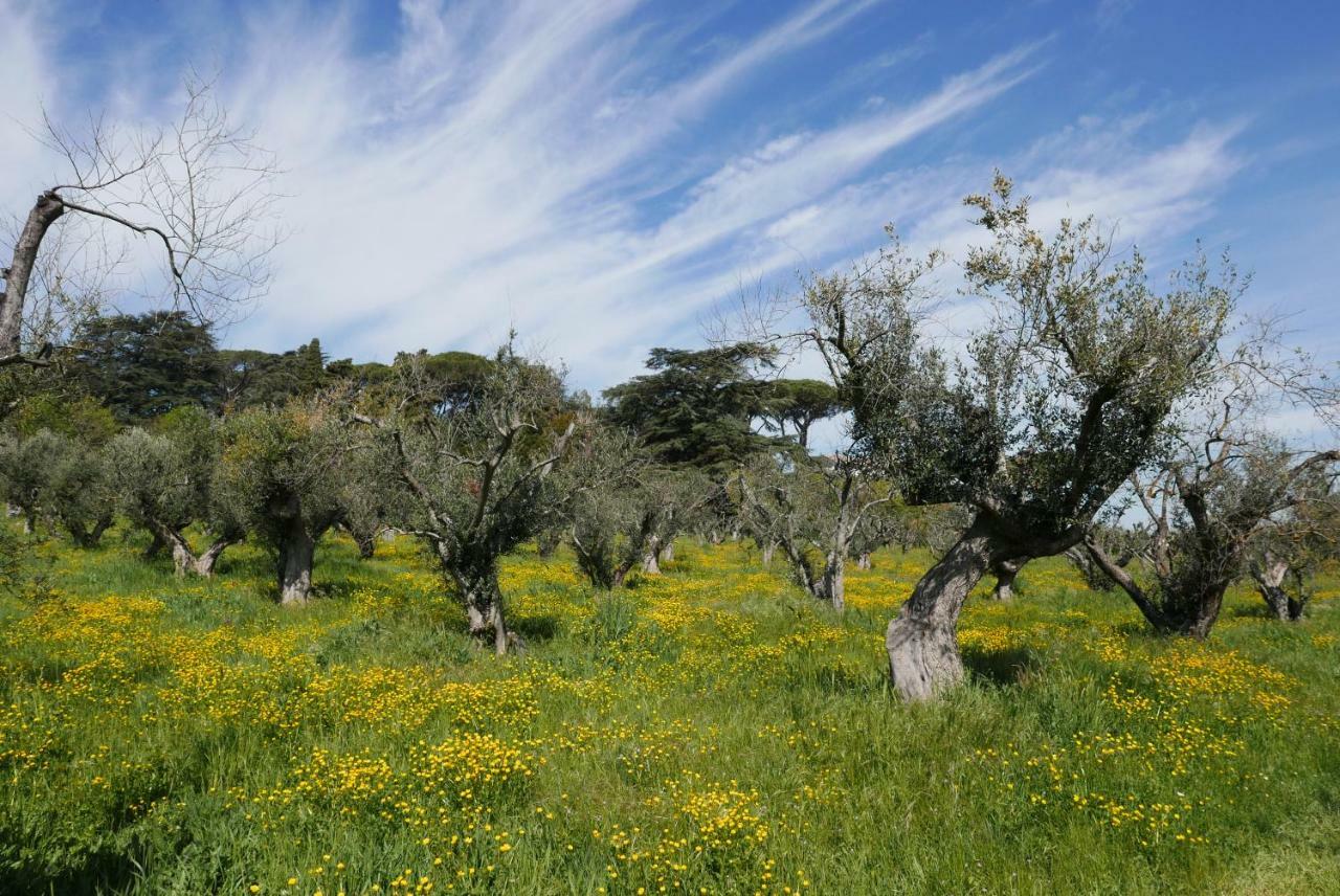 Villa Cavalletti Grottaferrata Buitenkant foto