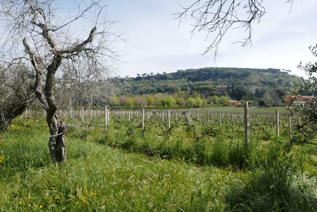 Villa Cavalletti Grottaferrata Buitenkant foto