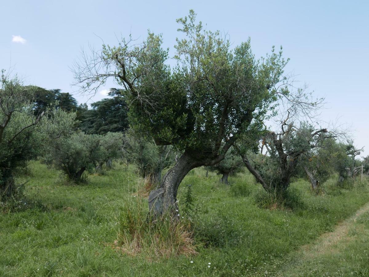 Villa Cavalletti Grottaferrata Buitenkant foto